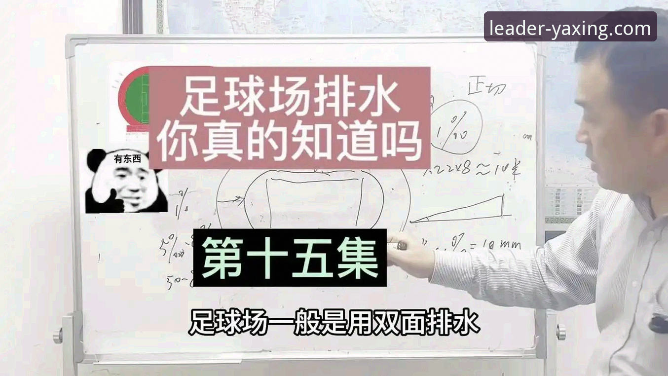 如何通过专业平台洞察一场足球友谊赛背后的战术趋势？